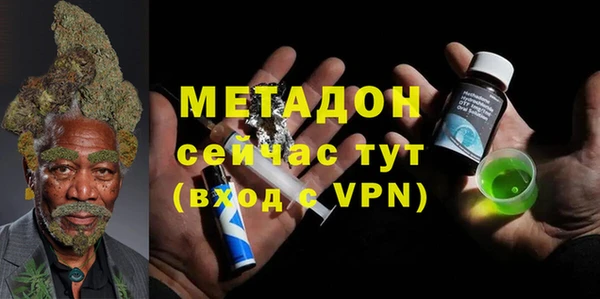 прущие грибы Аркадак