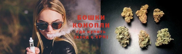 прущие грибы Аркадак