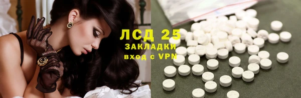 индика Армянск