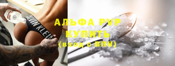 прущие грибы Аркадак