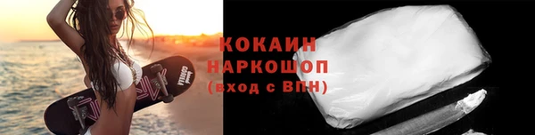 индика Армянск