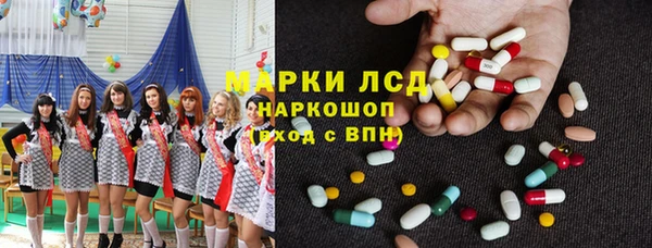 индика Армянск