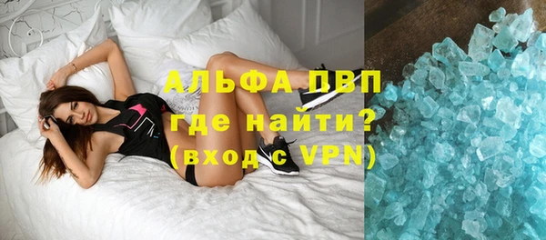 прущие грибы Аркадак